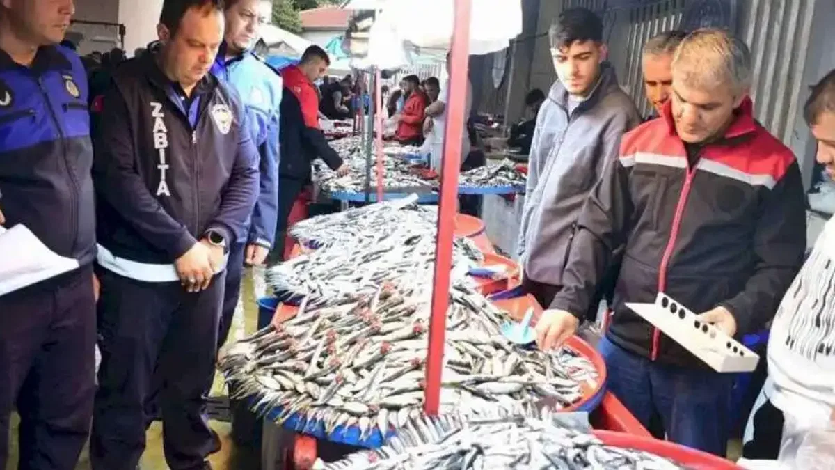 Bursa Yenişehir'de balık pazarına sıkı denetim