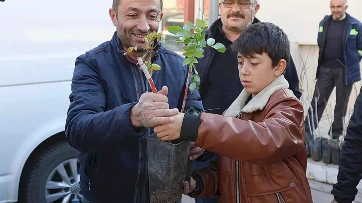 Konya'nın 3 ilçesinde üreticiye Antep Fıstığı desteği