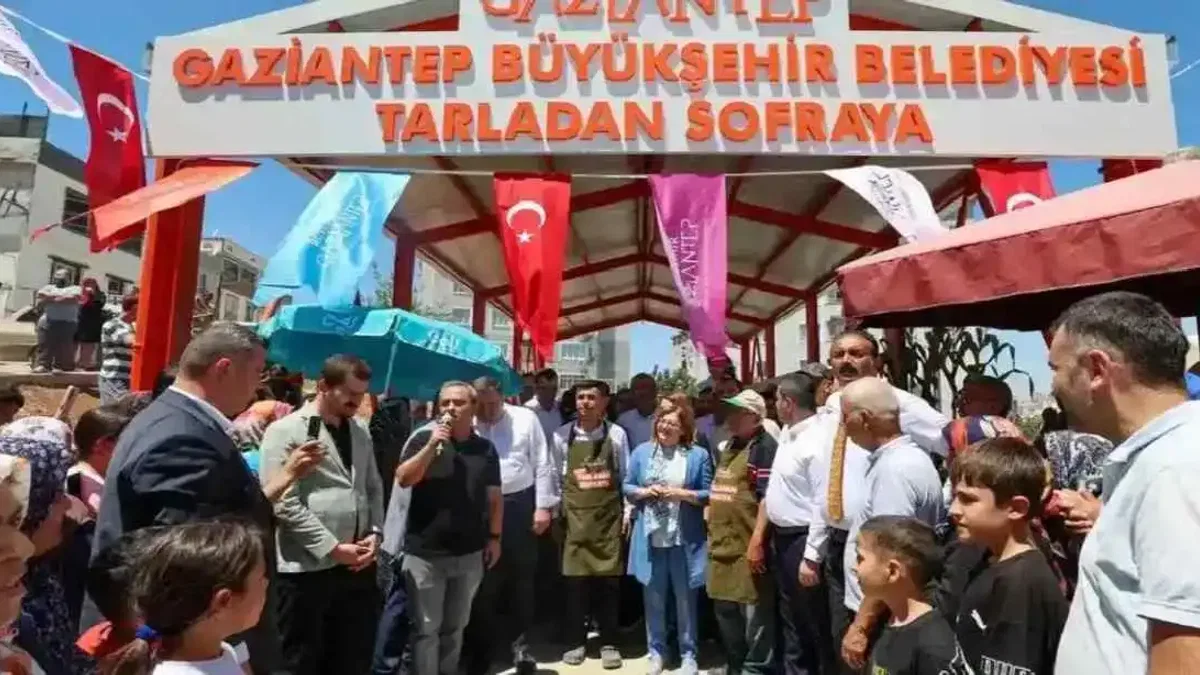 Tarladan sofraya ucuza pazar