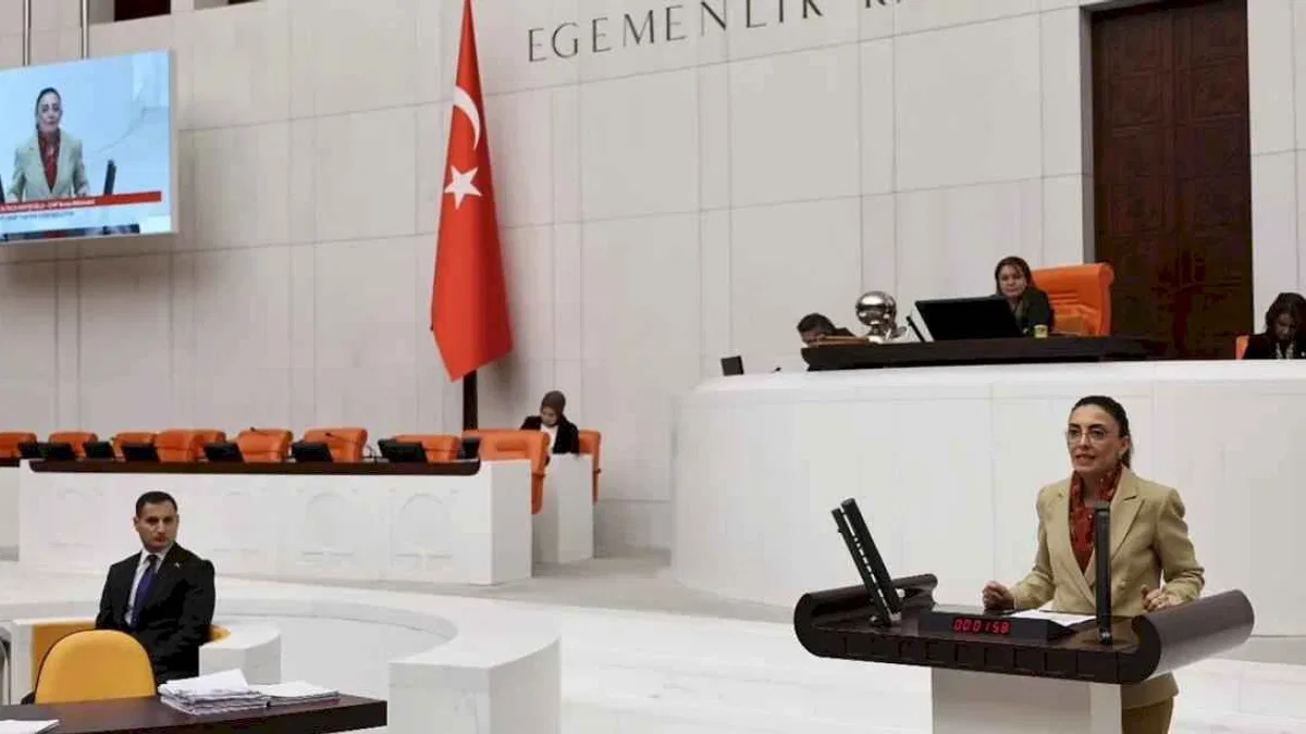 CHP'li Vekil Altaca Kayışoğlu: Esenyurt Gazze gibi!