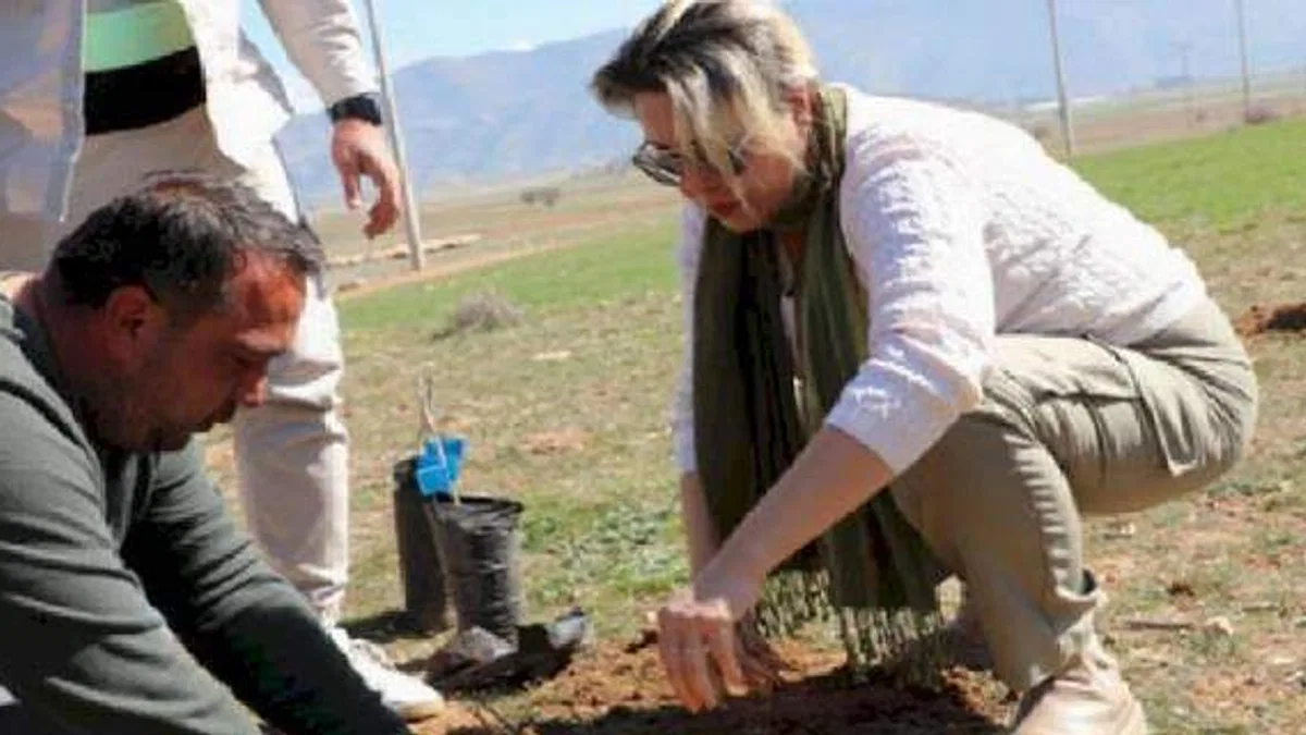 Antalyalı çiftçiler antepfıstığı üretecek