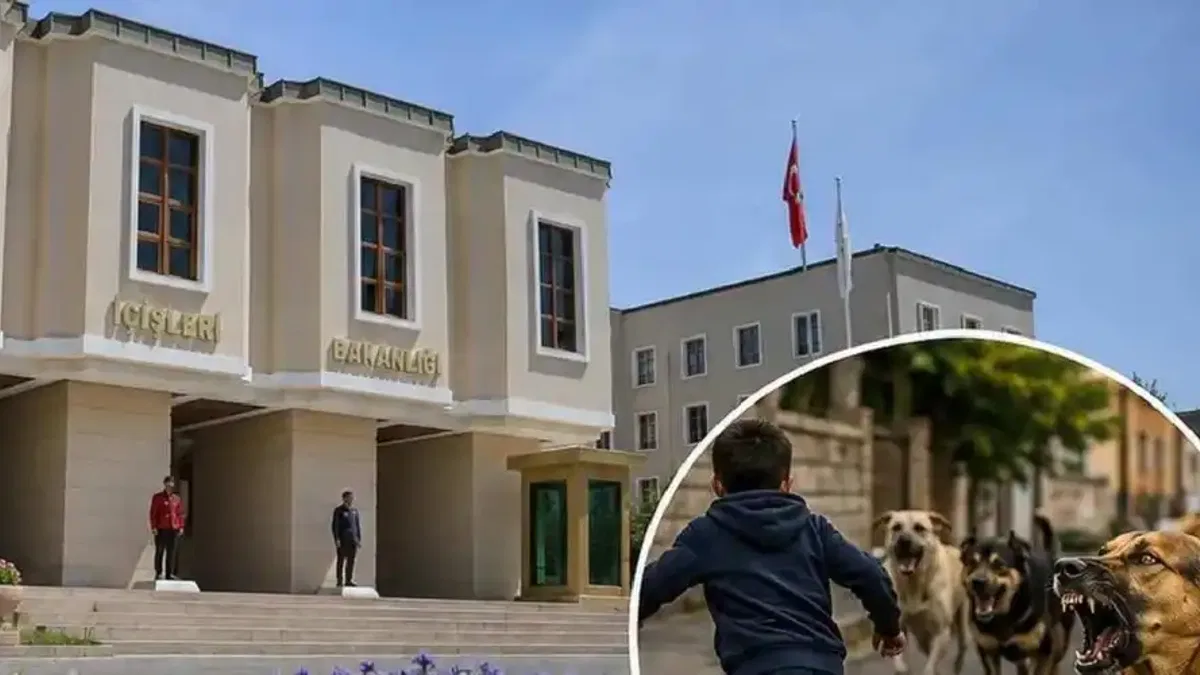 İçişleri'nden köpek saldırıları sonrası 3 belediye başkanı hakkında işlem