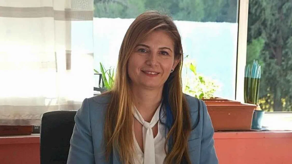 COP29: İklim değişikliğiyle mücadelede yeni bir başlangıç