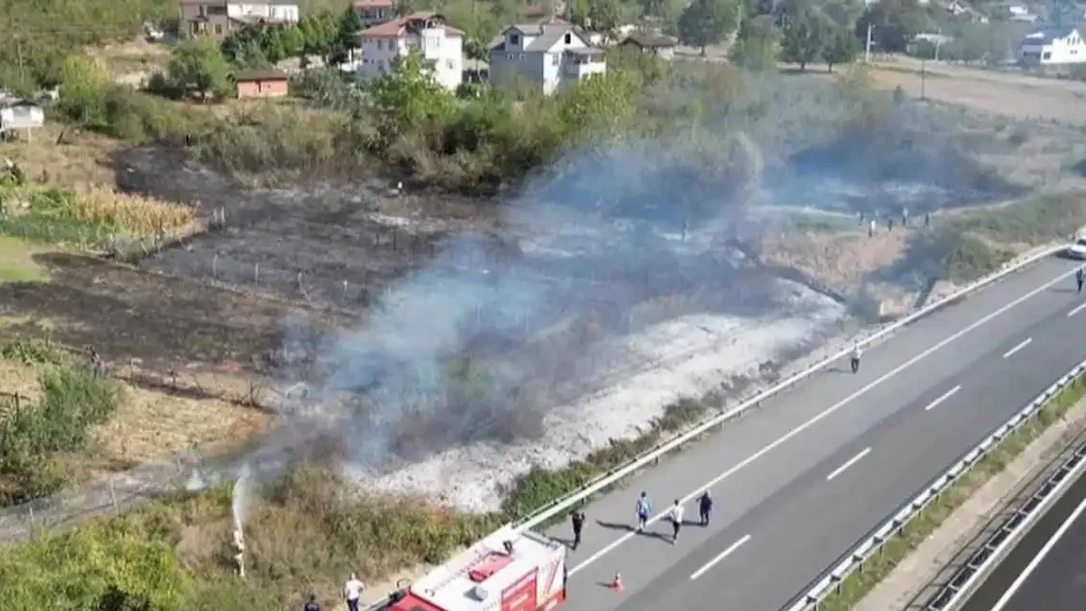 Düzce'de anız yangını! Fındık arazisi zarar gördü!