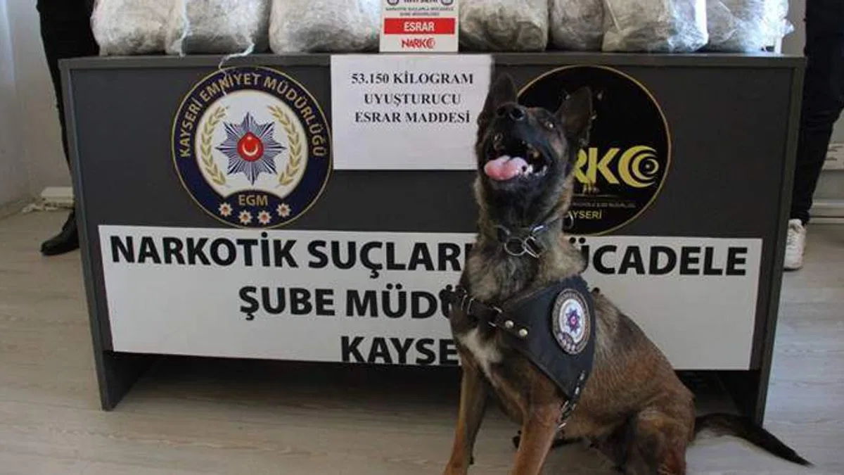 Kayseri'de 53 kilogram esrar ele geçirildi