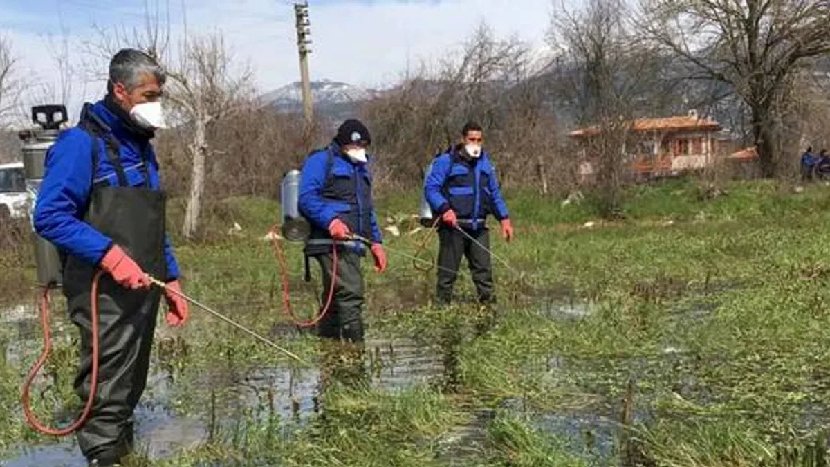 Muğla Büyükşehir'den sağlıklı kent adımları