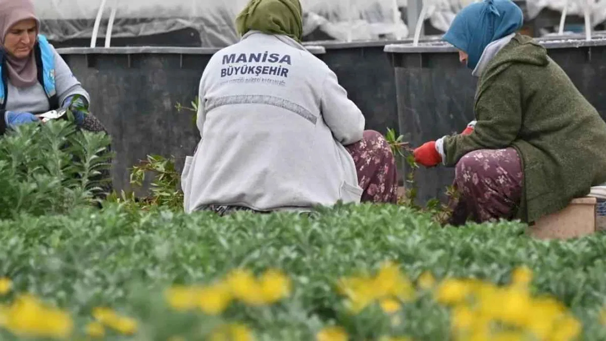 Manisa düşük su tüketimi olan bitkilerle güzelleştiriliyor