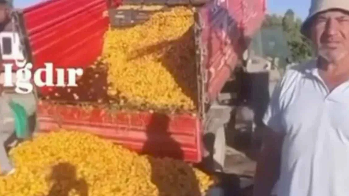 1 TL'lik kayısı paylaşımı 1,4 milyon TL cezaya patladı! Yanıltıcı paylaşıma milyon liralık ceza!