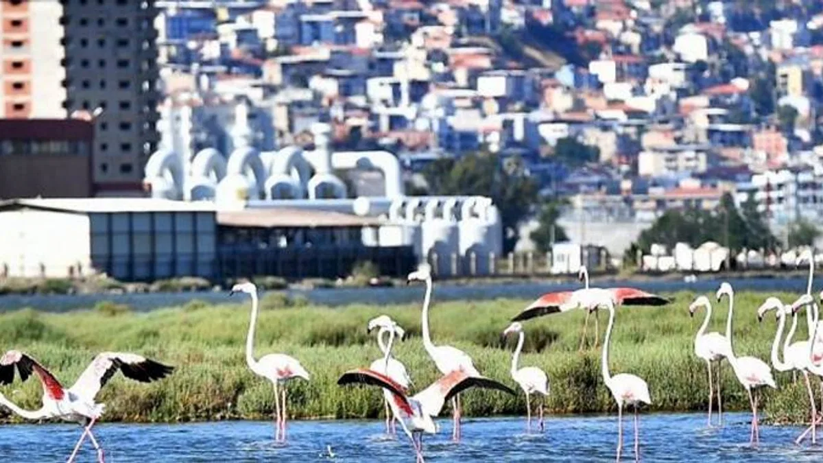 Doğaseverler İzmir'de bu festivali bekliyor