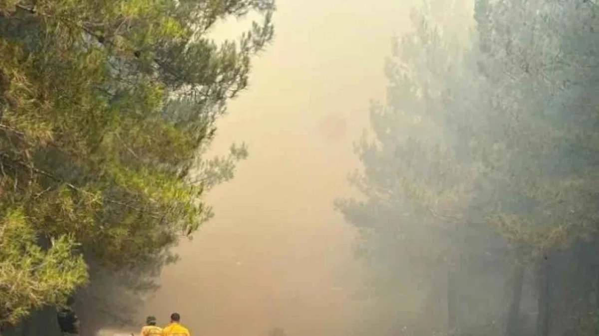 Bursa’daki orman yangını hakkında dikkat çeken iddialar
