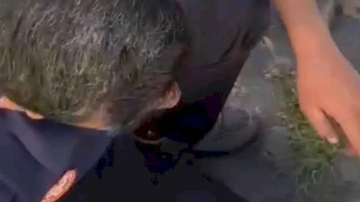 Büyükşehir İtfaiyesi, tehlikeye düşmüş tüm canlılara yardım elini uzatıyor