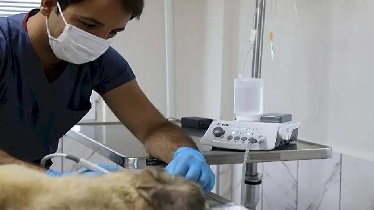 Muğla Büyükşehir'den Candostların Sağlık Kalitesini Arttıran Hizmet
