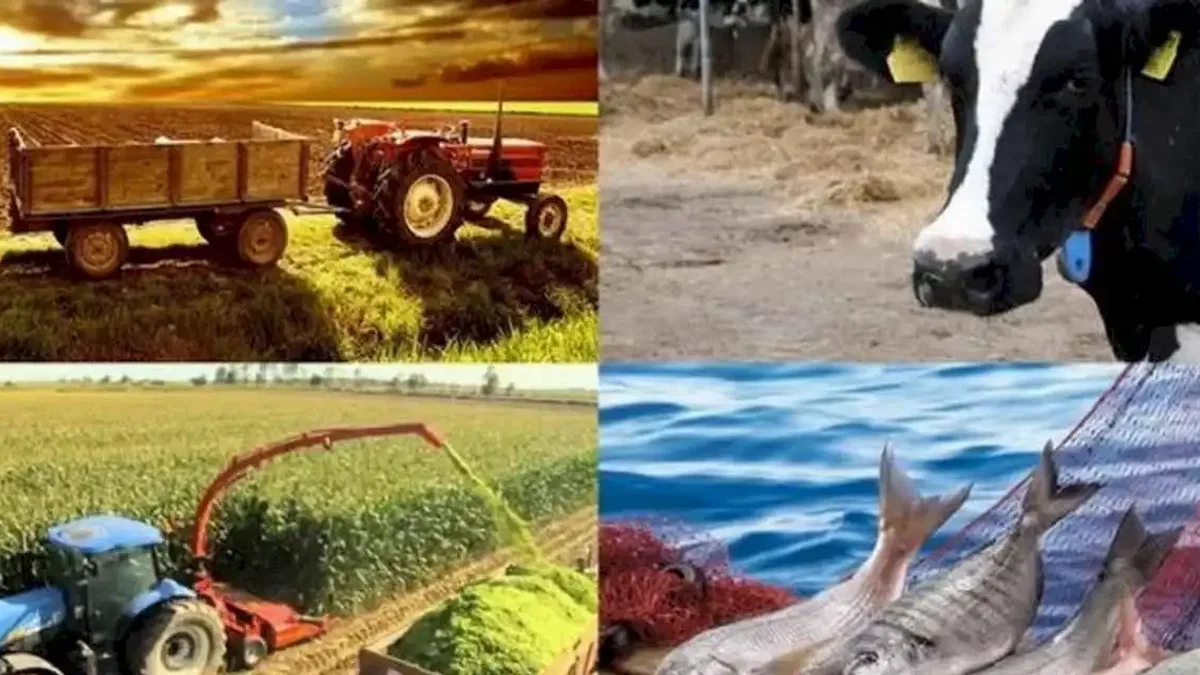 Hayvancılık destekleme miktarlarında artış! Çoban desteği ve aşı bedellleri de kapsamda