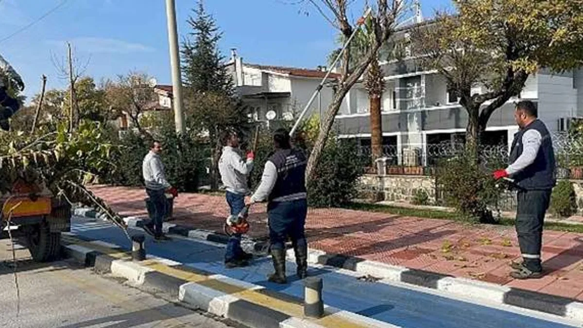 Büyükşehir Kent Genelinde Budama Çalışmalarına Devam Ediyor