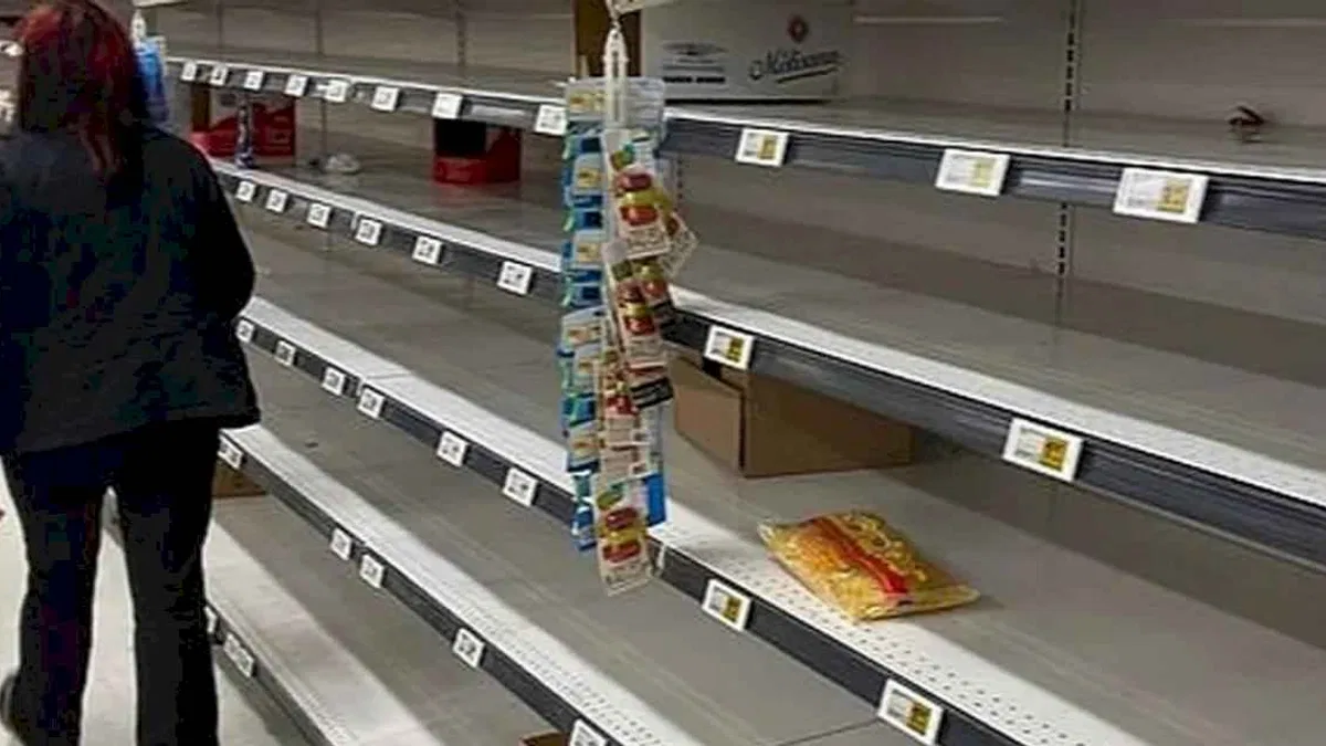 ABD'de kuş gribi yumurtayı vurdu! Raflar boş kaldı!