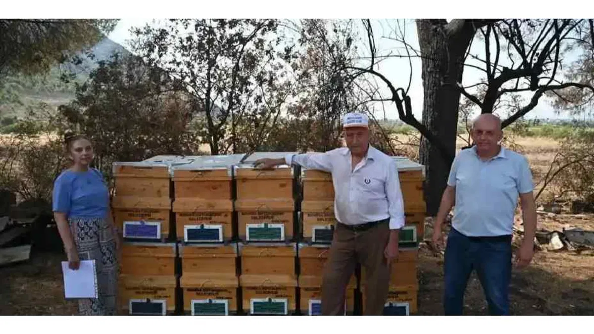 Manisa'da yangında kovanları zarar gören arıcıya Büyükşehir desteği