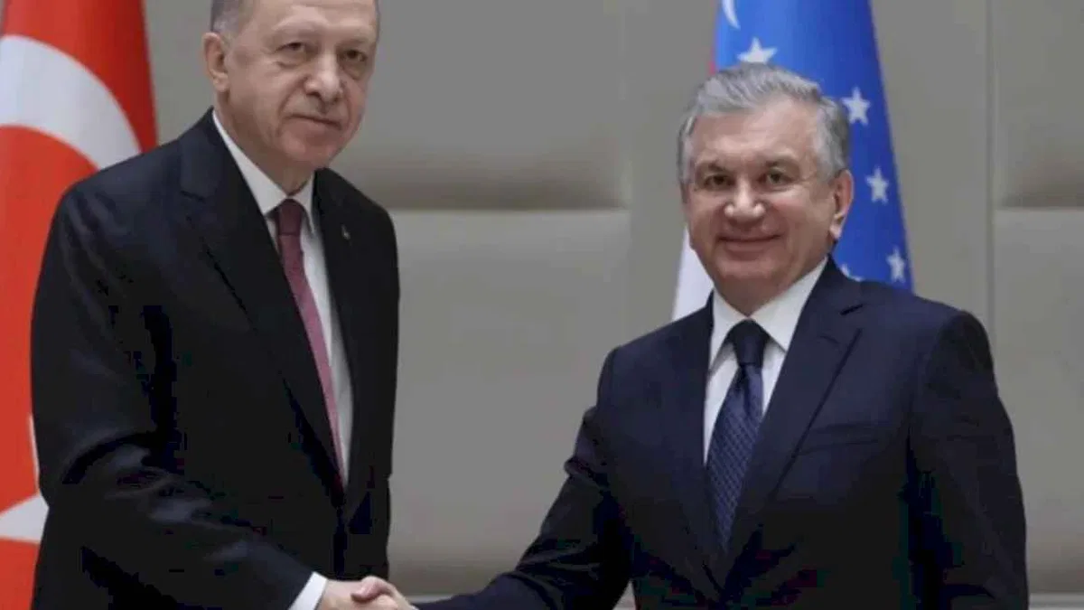 Cumhurbaşkanı Erdoğan Özbekistanlı mevkidaşıyla görüştü