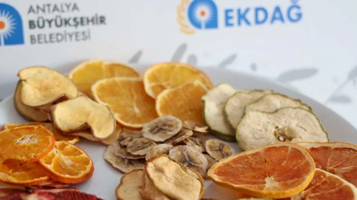 Antalya'da modern meyve kurutma tesisi açıldı
