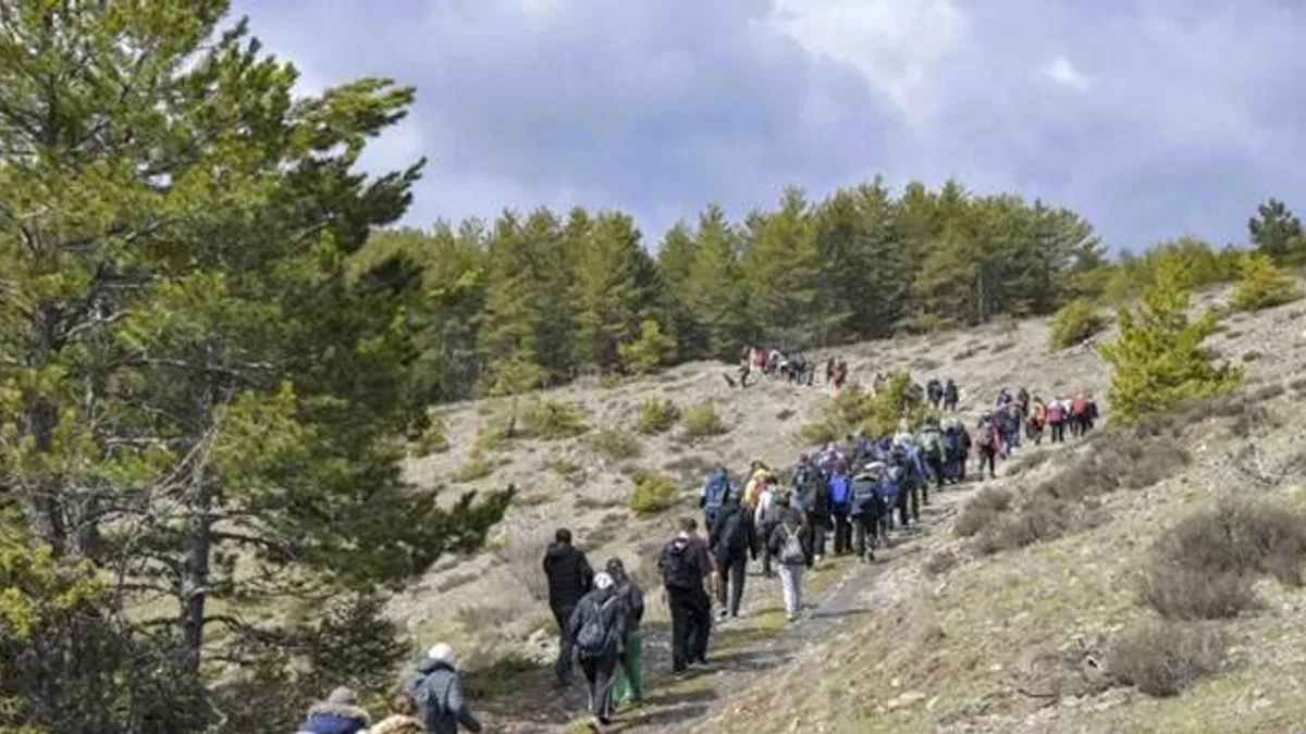 Başkentliler Şahinler Tabiat Parkı’nda doğayla buluştu