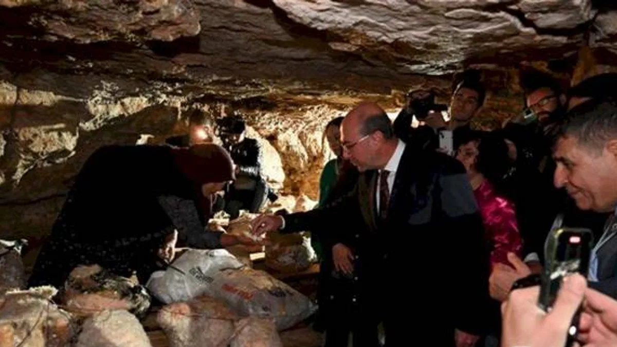 Selçuklu'da peynir tulumundan ilk hasat