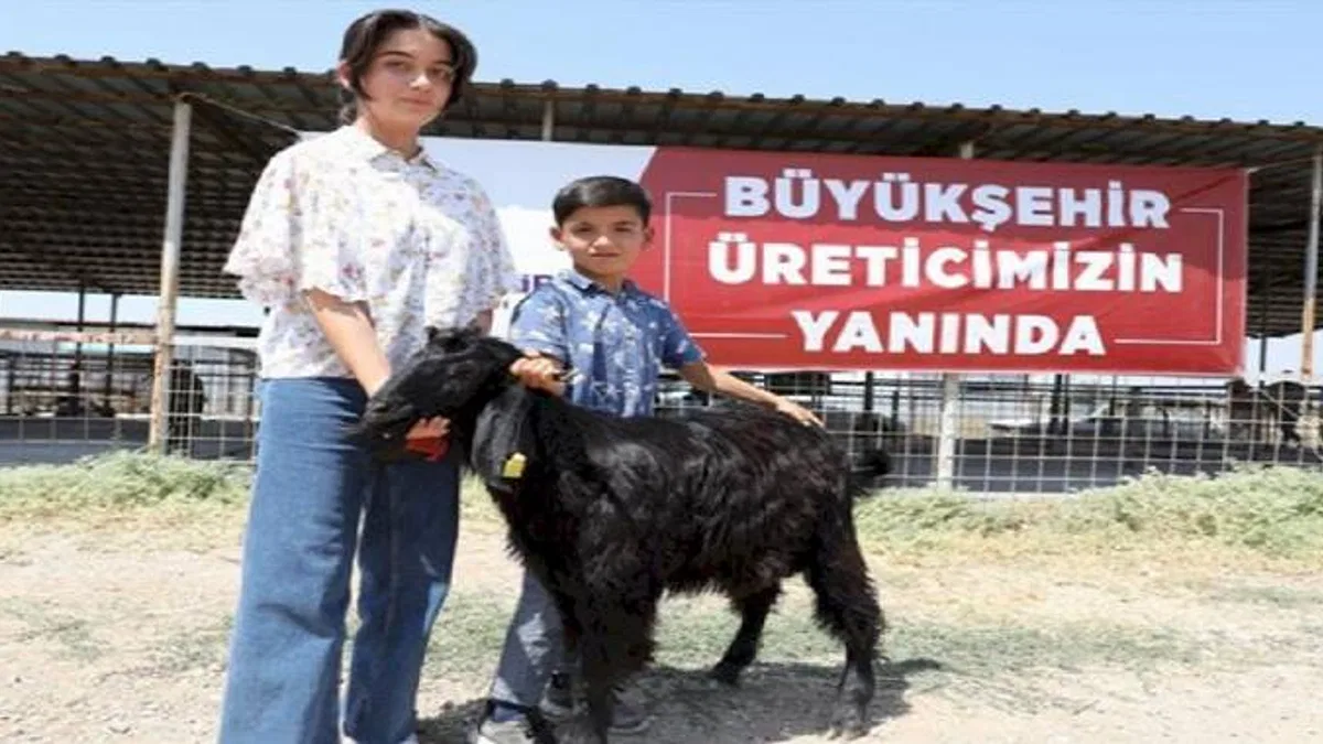 Hayvan üreticilerinin hibe sevinci