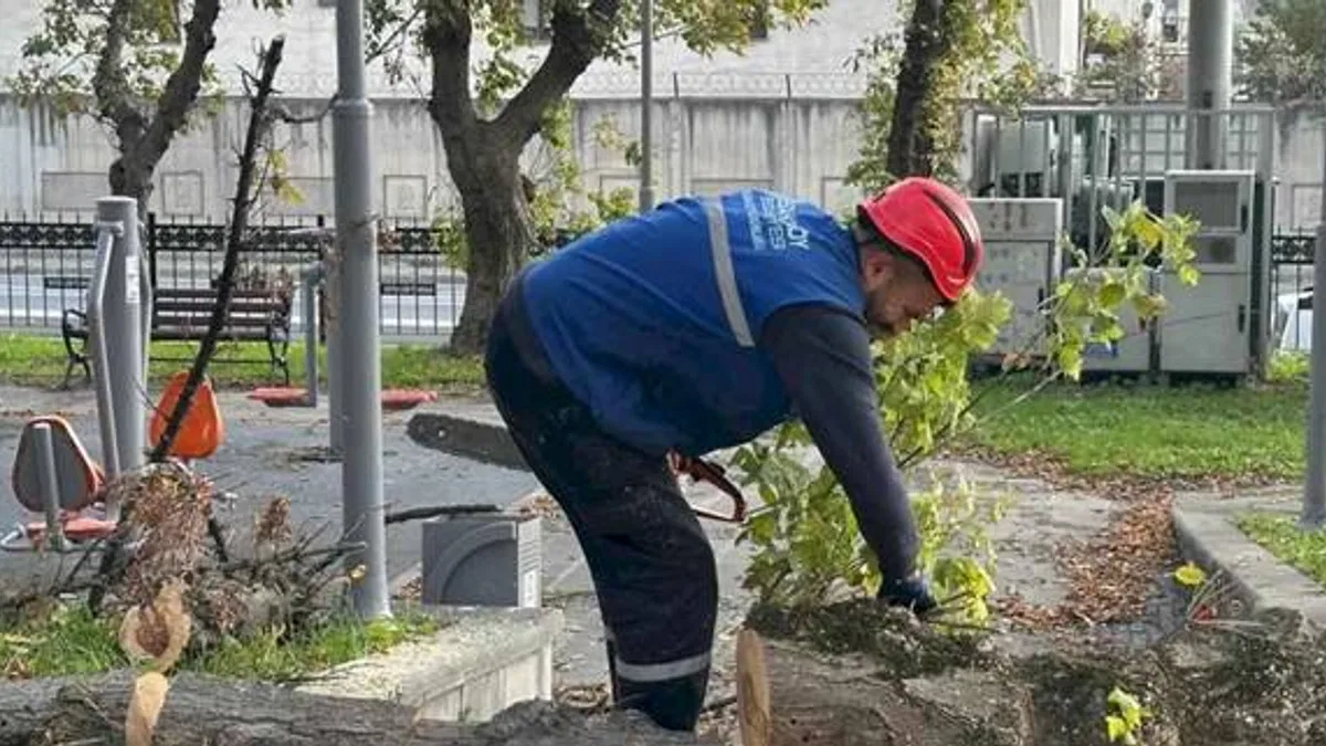 İstanbul Bakırköy'de teke böceğine karşı etkin mücadele