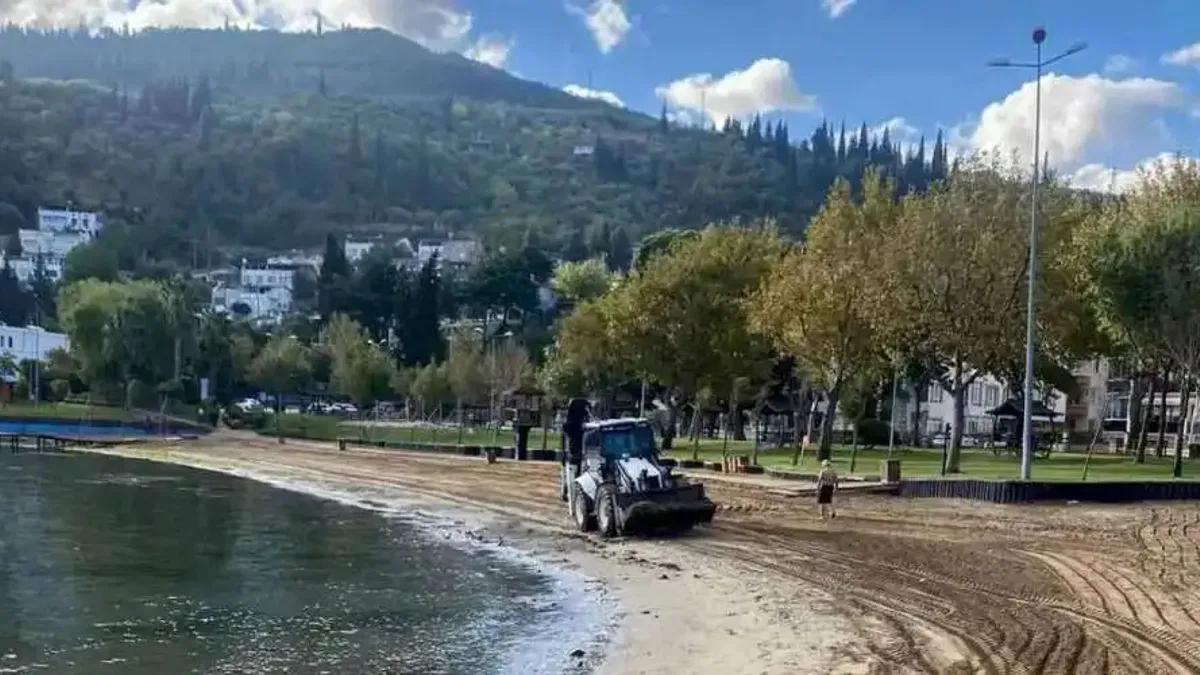 Kocaeli sahillerine Büyükşehir eliyle temiz sezon