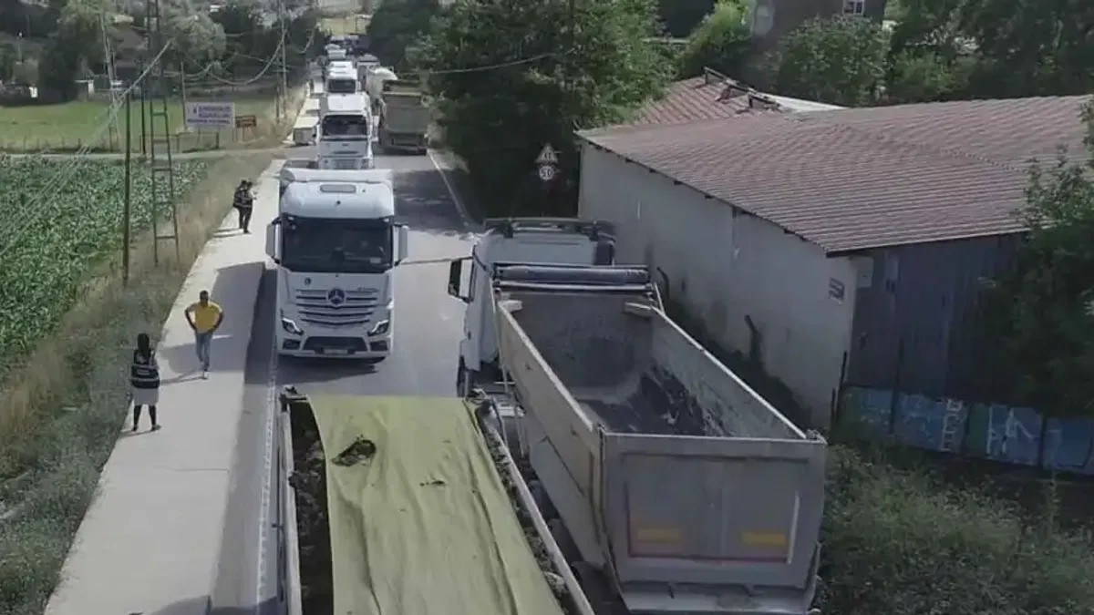 İstanbul'da tepki çeken eyleme Büyükşehir'den açıklama