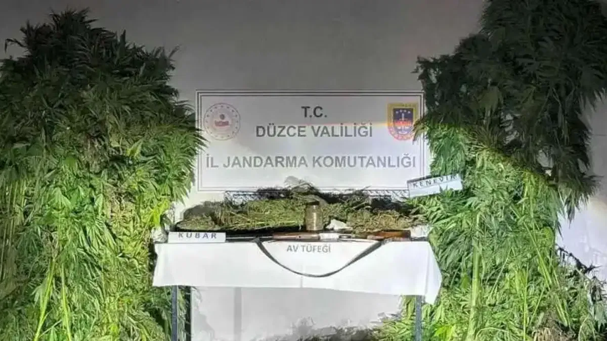 Düzce'de jandarma uyuşturucu operasyonu yaptı
