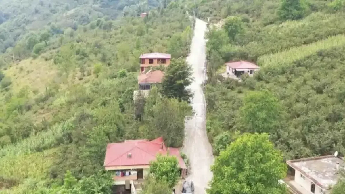Ordu Büyükşehir'den beton yol çalışması