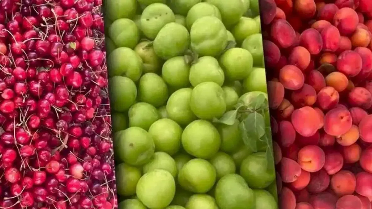 Sert ve yumuşak çekirdekli meyveler zirvede