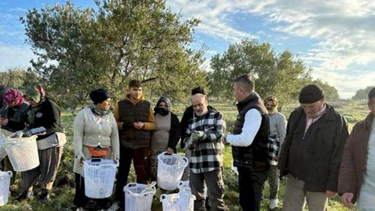 Manisa Akhisar'da zeytin üreticisine koruyucu malzeme