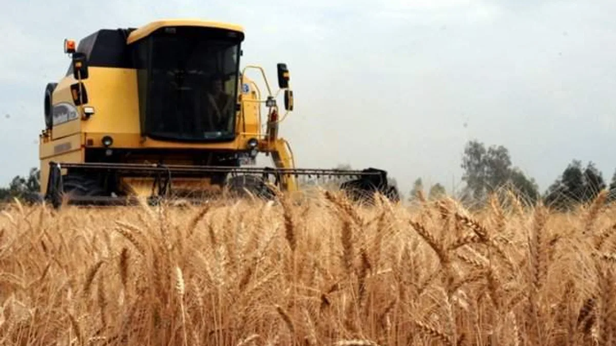 İran: Karadeniz'de oluşturulacak tahıl koridoruna katkı sağlamaya hazırız