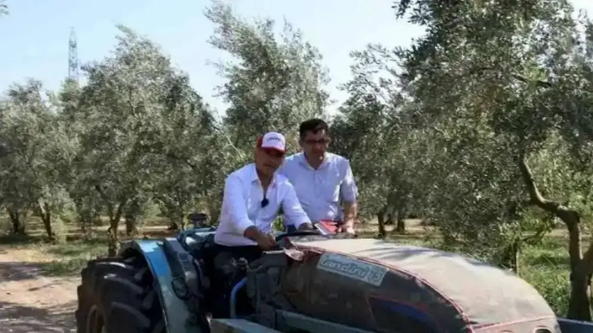 Bursa Gemlik'te zeytin ağaçları suya kavuştu