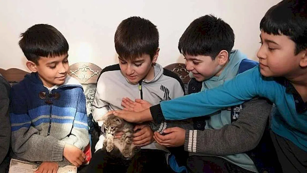 Öğrenciler bu kütüphanede hem kitap okuyor hem de kedileri seviyor