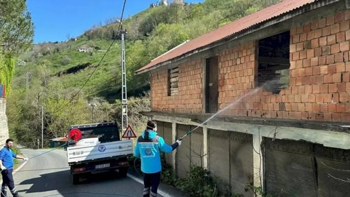 Kahverengi kokarcaya karşı Trabzon’da seferberlik