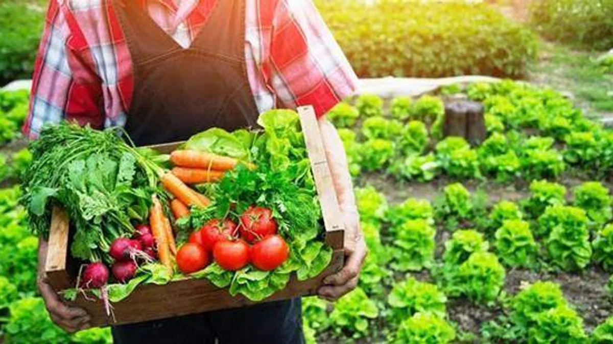 Tarım ürünleri üretici fiyat endeksi belli oldu