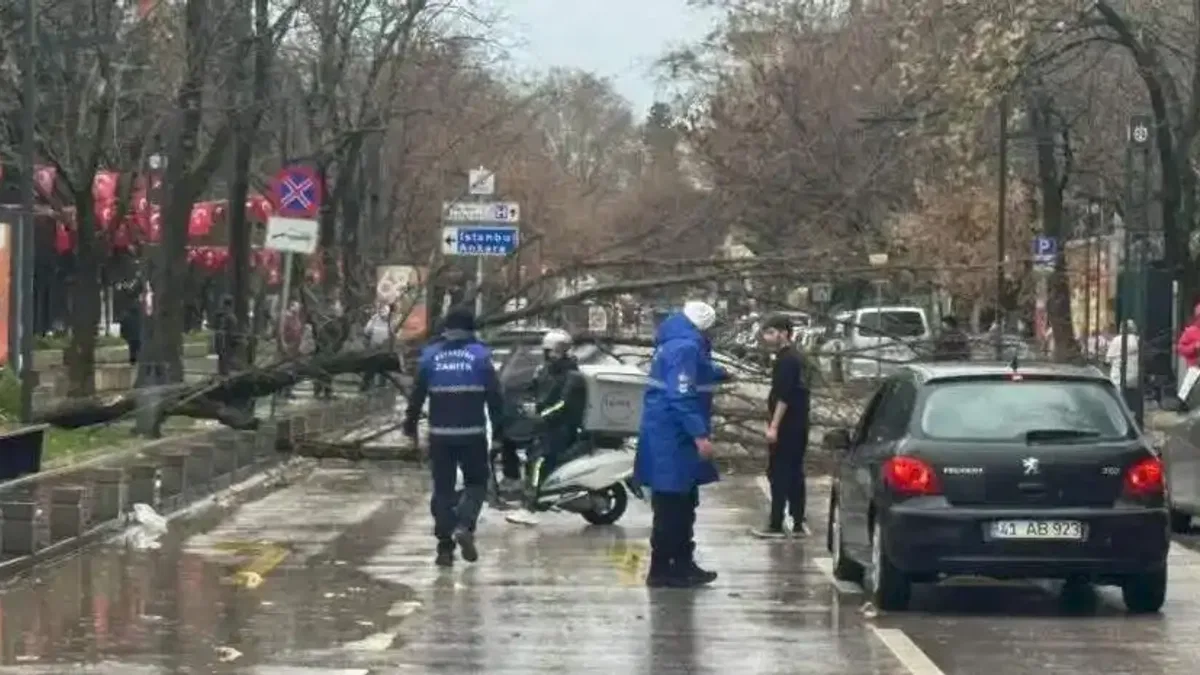Kocaeli Büyükşehir'de lodos müdahalesi