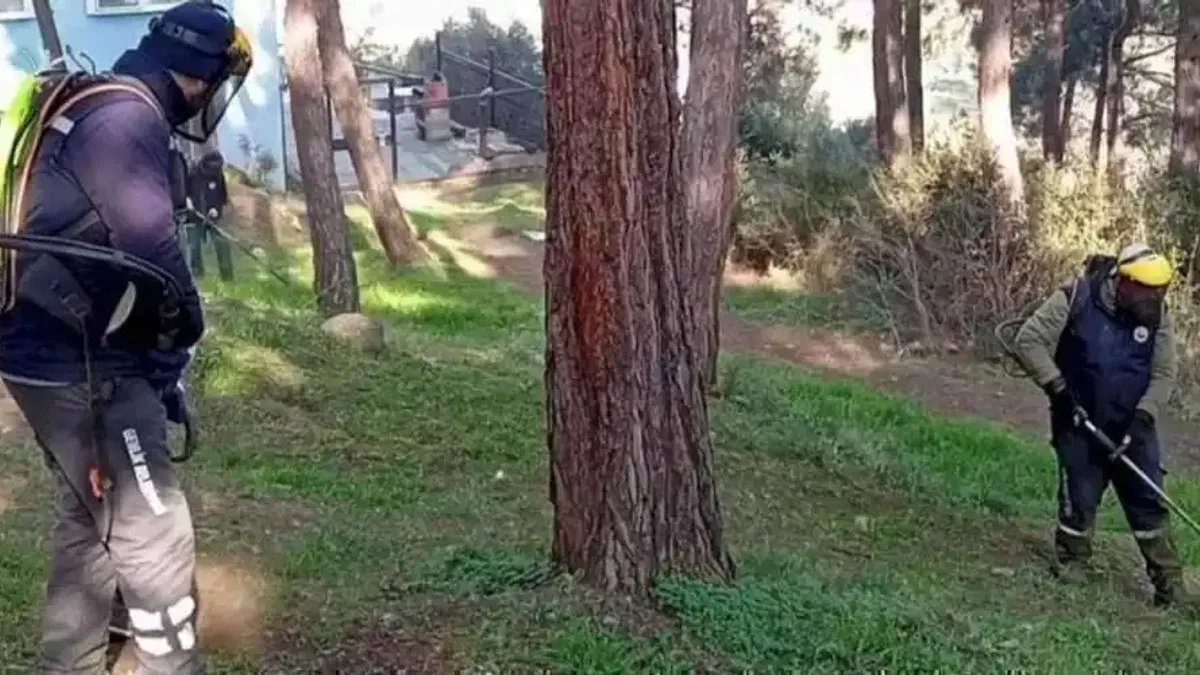 Bursa Gemlik'te yeşil seferberlik