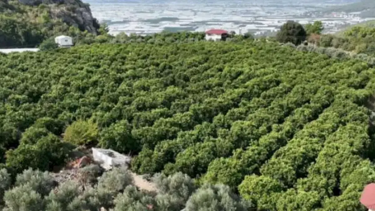Kapalı devre sulama yüzleri güldürdü