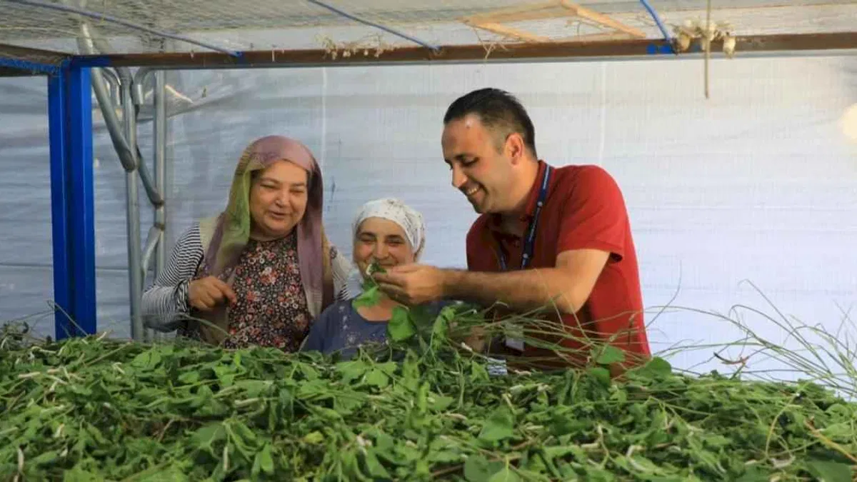 İpekböcekçiliği yeniden doğuyor! Ata mirasına modern dokunuş