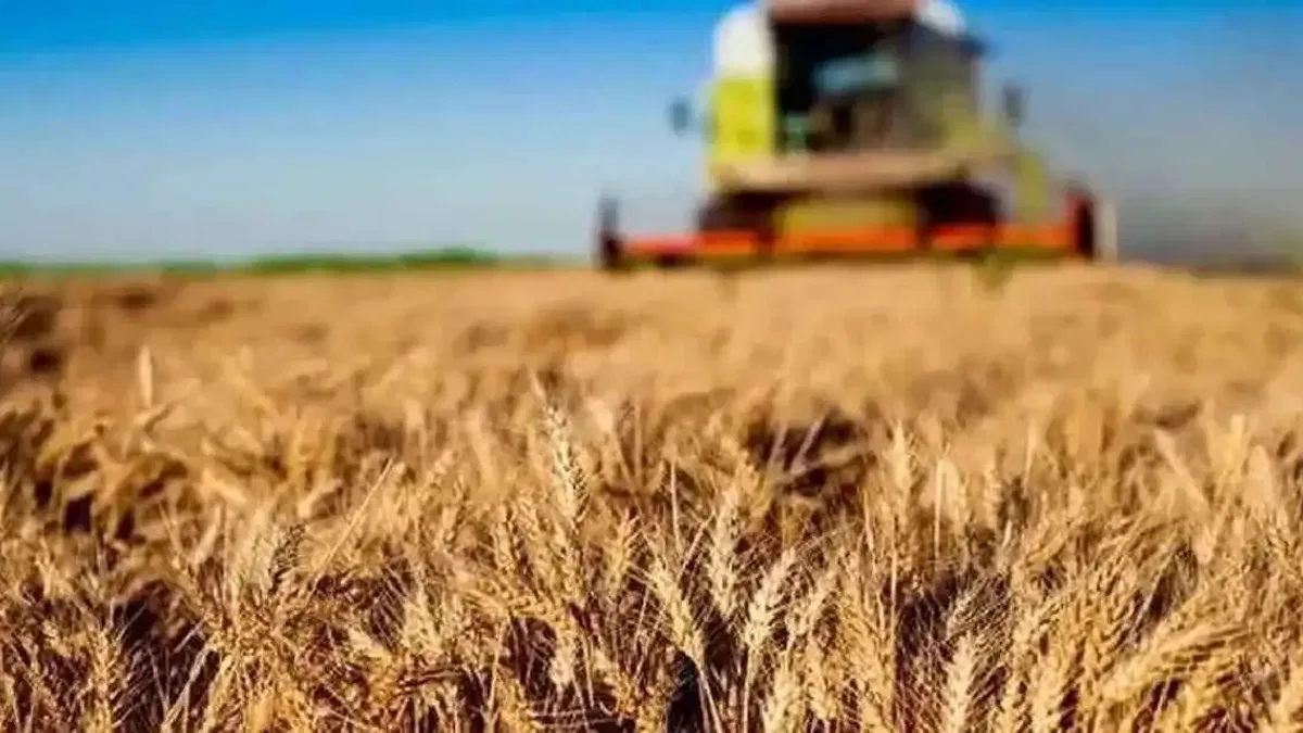 Kırsala 12,5 milyar liralık dev hibe desteği