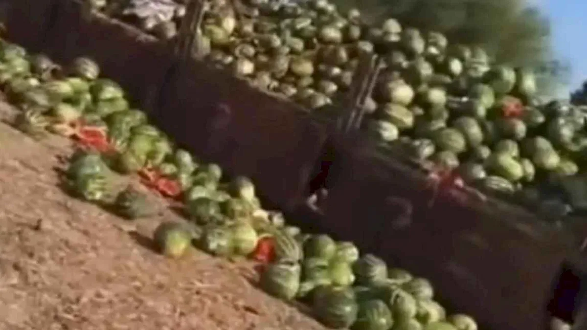 Bursa Karacabey'deki o görüntülere açıklama geldi