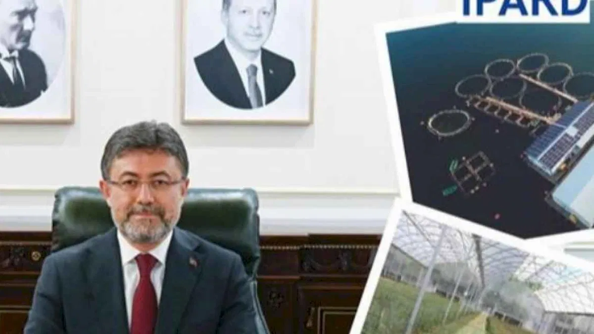 IPARD 3'te ikinci çağrı yapıldı... Destek bütçesi 80 milyon Avro