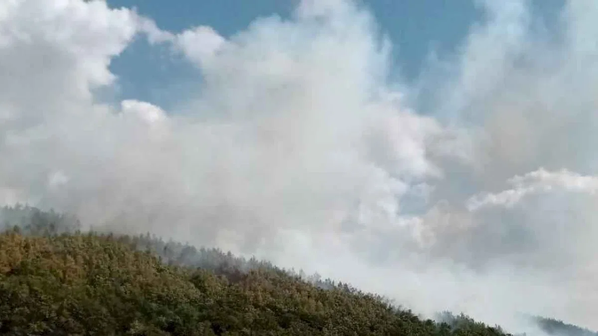 Orman İşletme Müdürü Ertunç Can Polat yangınlara karşı uyardı