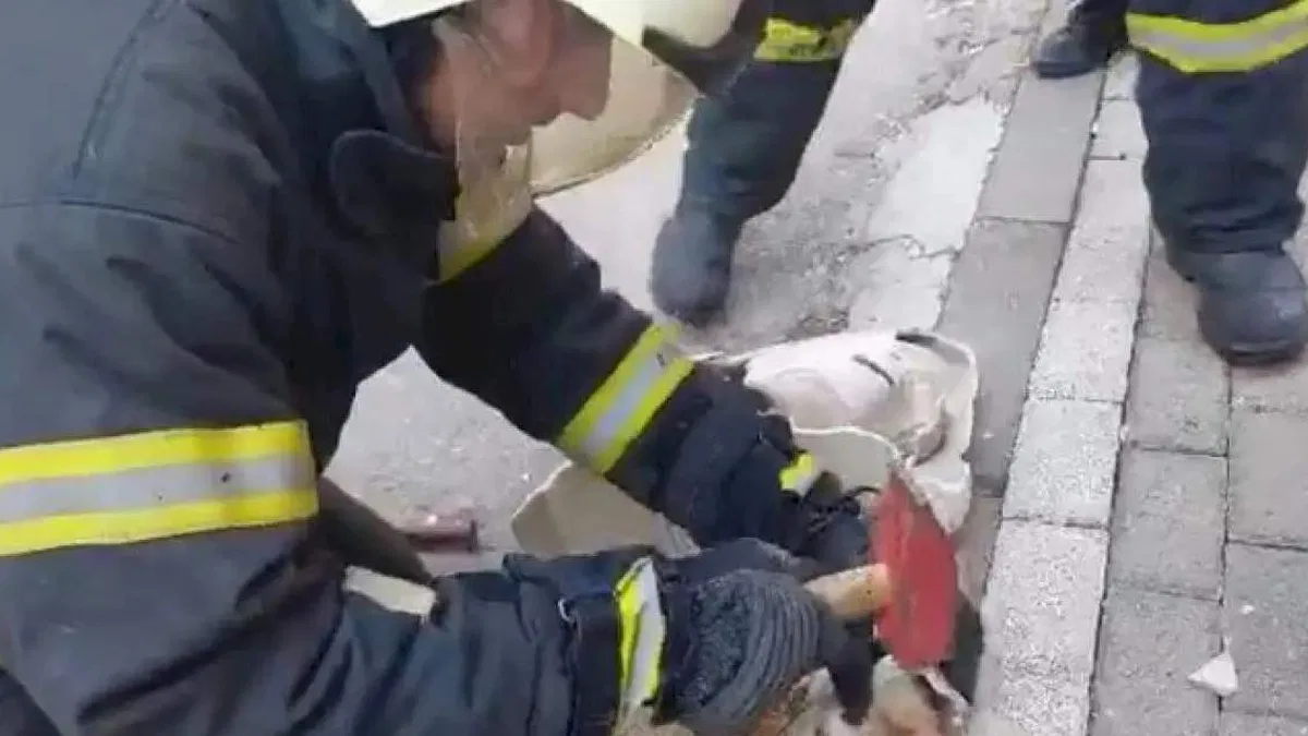 Lavaboya sıkışan yavru kedi kurtarıldı