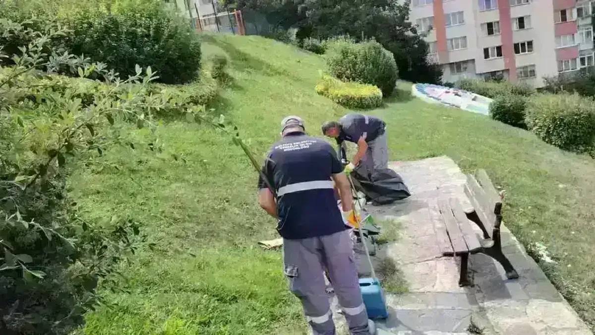 İstanbul Maltepe’de toplu temizlik seferberliği