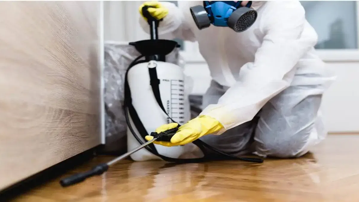 Otellerde Yapılan İlaçlamalar Sağlık Açısından Büyük Riskler Taşıyor!