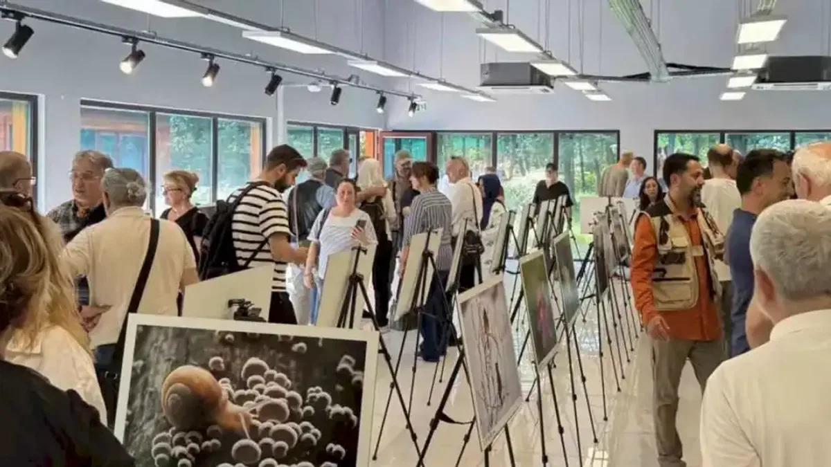 'Türkiye’nin Doğası' sergisi sanatseverlerle buluşuyor!