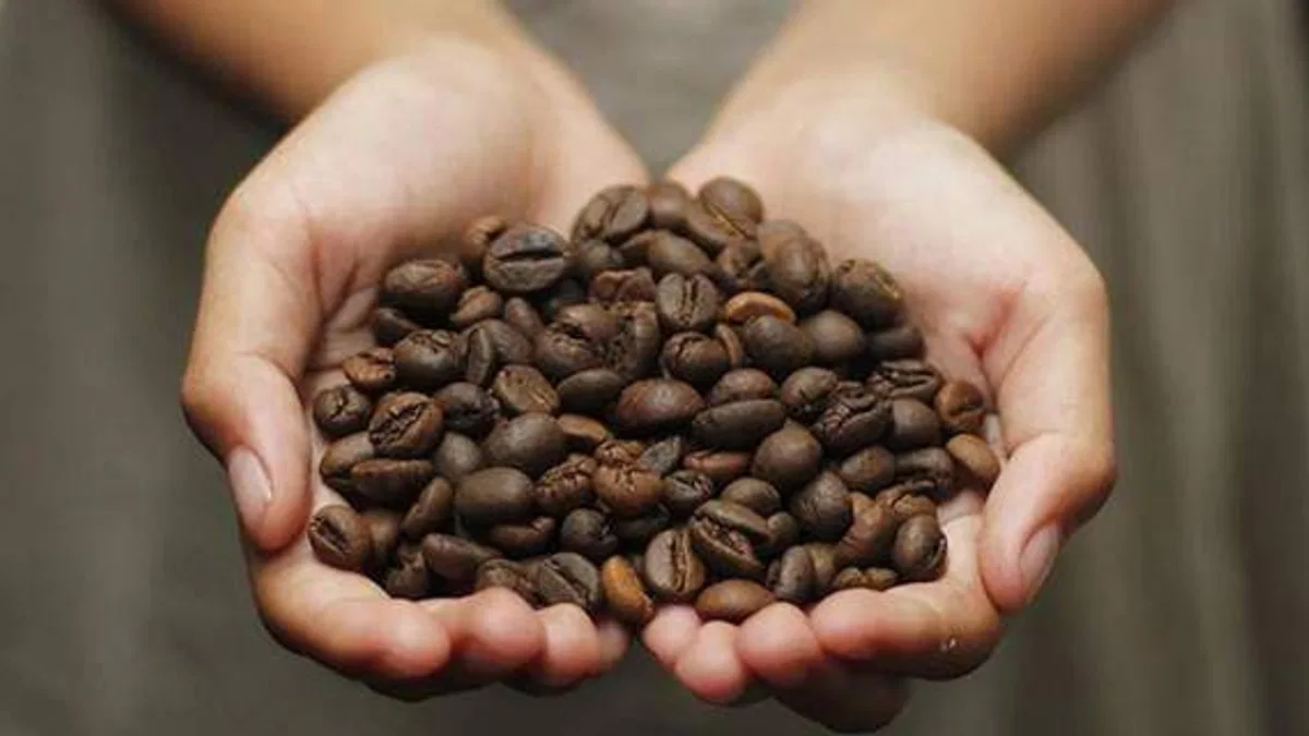Kahve keyfinin sürmesi bilinçli üretime ve tüketime bağlı